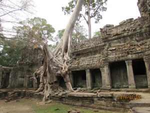 Harbin and Camboda 2014 1150
