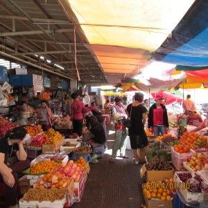 Harbin and Camboda 2014 141
