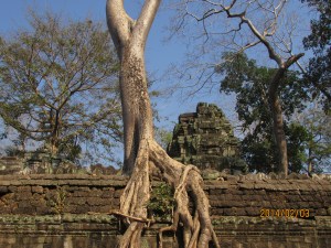 Harbin and Camboda 2014 904