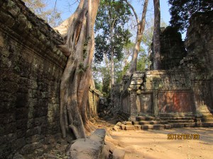 Harbin and Camboda 2014 906