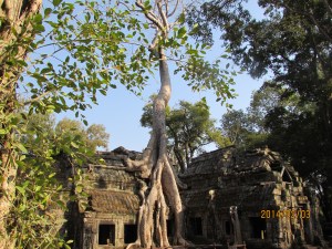 Harbin and Camboda 2014 948