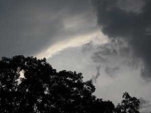 Yeah, we're going with old nature photos I took years ago for this blog. 