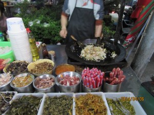 Nangjing, Hangzhou, Beijing Legos 348